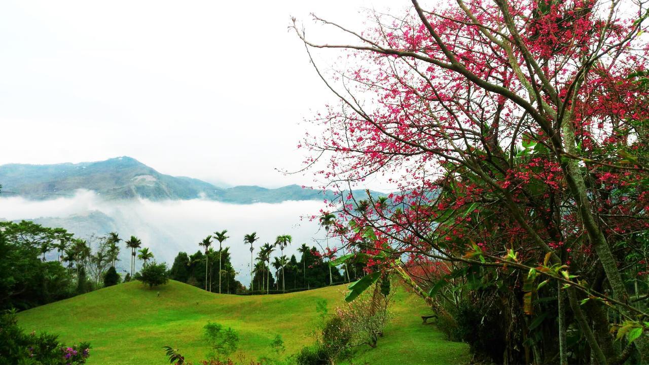 Foggy Wonderland Villa Zhushan Exteriör bild